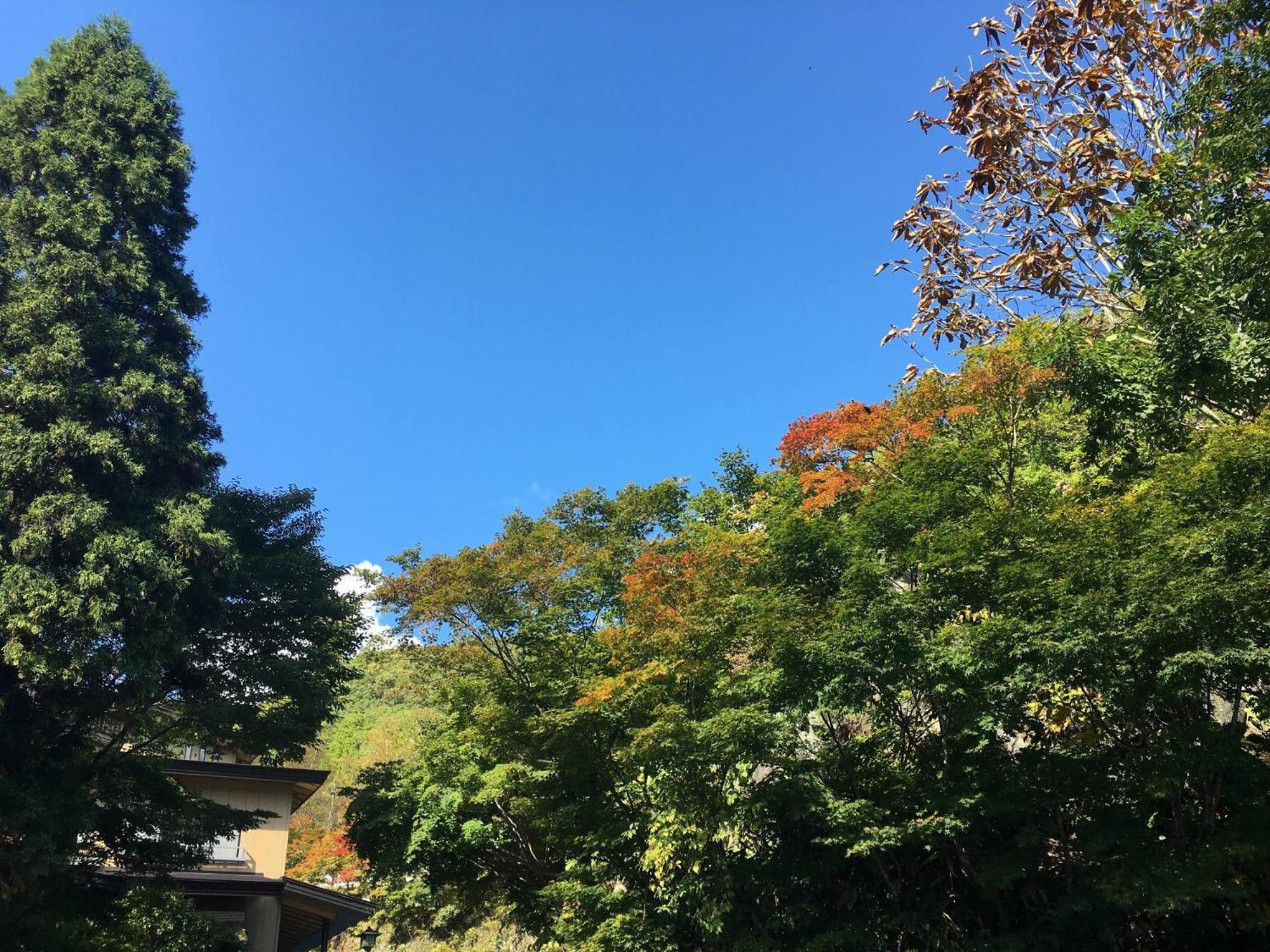 Hotel Takaragawa Onsen Ousenkaku Minakami Zewnętrze zdjęcie